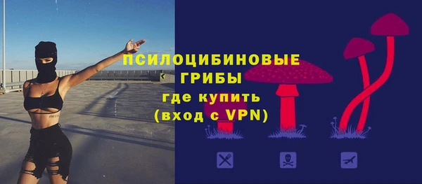 дживик Чита