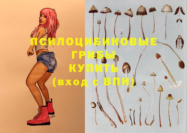 винт Покровск