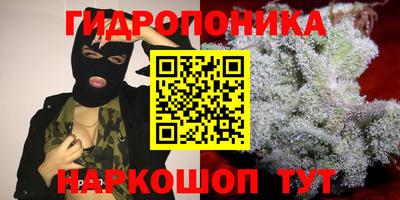 трава Ставрополь