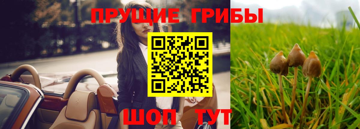 Рассказово  Псилоцибиновые грибы GOLDEN TEACHER  Вход с VPN  купить наркотик  Галлюциногенные грибы MAGIC MUSHROOMS 
