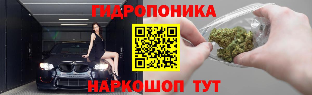 Конопля семена  Бошки марихуана конопля  Вход с VPN  Рассказово 